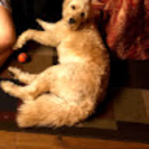 Meet your Posher, Nick